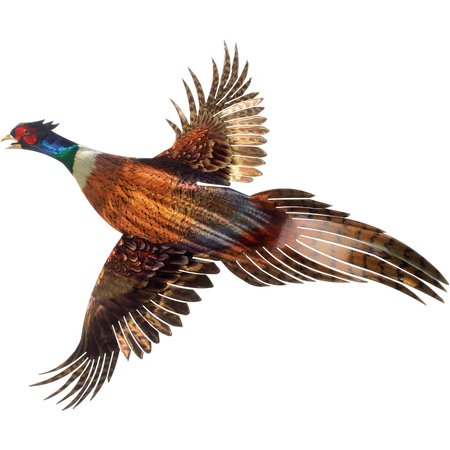 NEXT INNOVATIONS Pheasant Metal Wall Art 101210043